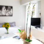 home-is-athens-apartment-Loukianou_0031_alesskikinas.com-1022